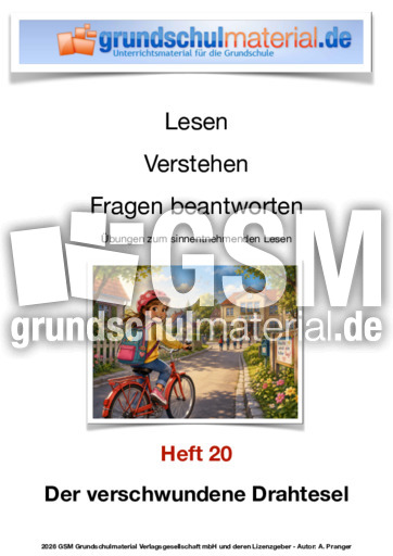Der verschwundene Drahtesel.pdf